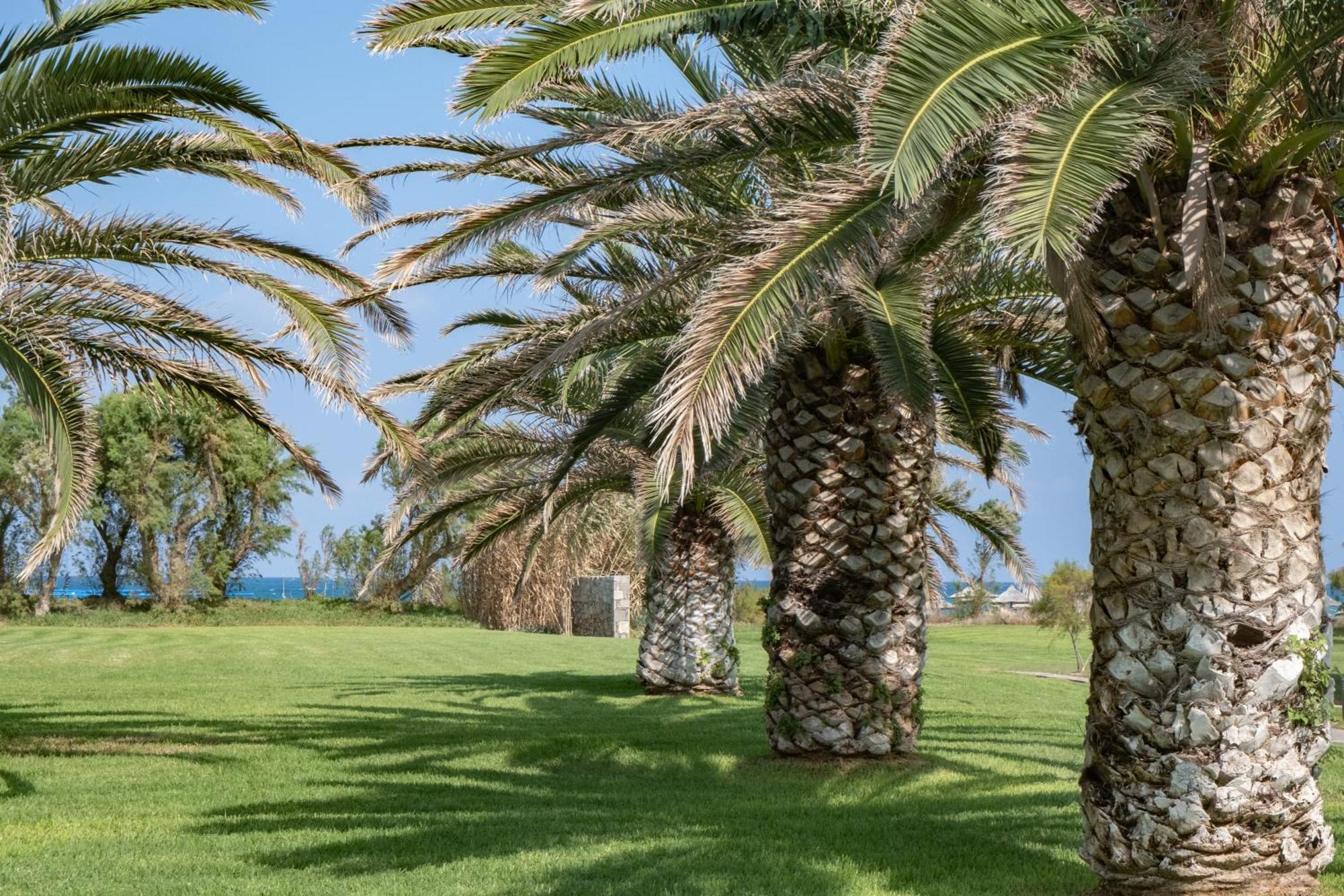 Agapi Beach Resort Premium All Inclusive Amoudara Lasithiou Eksteriør billede